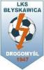 LKS Drogomyśl t.