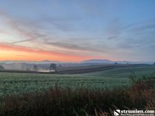 I nagroda kategoria fotografia (grupa młodsza) Paweł Krawczyk, Pruchna, „Zapach ziemi”